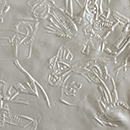 Hilbers image 2 0f 8 thumb